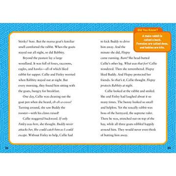 National Geographic Kids Chapters: Rascally Rabbits!: And More True Stories of Animals Behaving Badly (NGK Chapters)