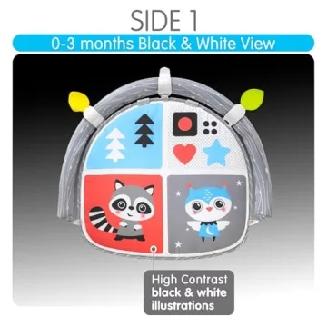 Benbat Car Seat Toy for Infants - Engaging and Safe