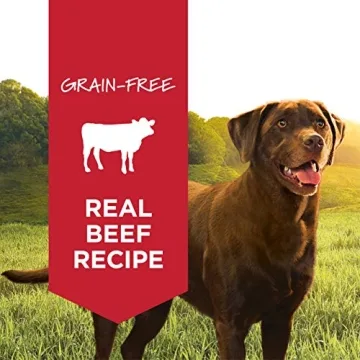 Healthy Wet Dog Food for Picky Eaters Beef Flavor