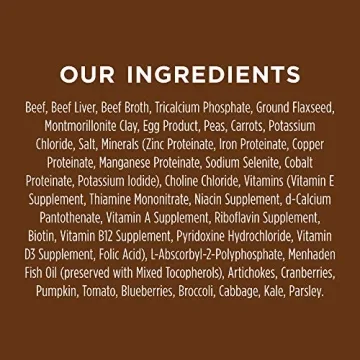 Healthy Wet Dog Food for Picky Eaters Beef Flavor