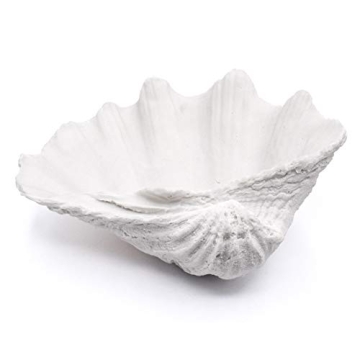 ALIWINER Seashell Decorative Bowl: Nautical Coastal Decor for Any Occasion