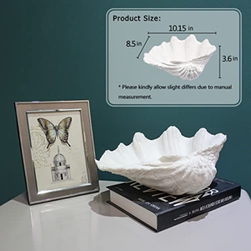 ALIWINER Seashell Decorative Bowl for Nautical Home Decor