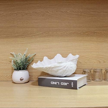 ALIWINER Seashell Decorative Bowl for Nautical Home Decor