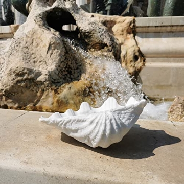 ALIWINER Seashell Decorative Bowl for Nautical Home Decor