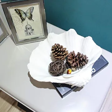 ALIWINER Seashell Decorative Bowl for Nautical Home Decor