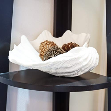 ALIWINER Seashell Decorative Bowl for Nautical Home Decor