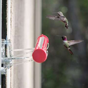 Versatile Bird Feeder Mounting Brackets for Hummingbirds