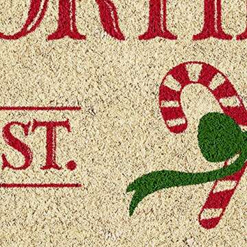DII Outdoor Christmas Door Mat Collection Decorative Holiday Doormat, Front Porch Décor, 17x29, Holly Jolly Cookie Co