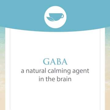 Natural Factors Stress-Relax Pharma GABA 250 mg, Non-Drowsy Stress Support for Relaxation and Mental Focus, 60 Vegetarian Capsules
