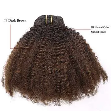 Anrosa Ombre Kinky Curly Clip In Extensions for Black Women