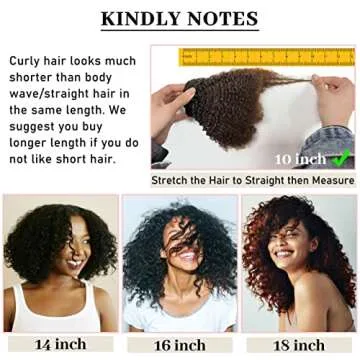 Anrosa Ombre Kinky Curly Clip In Extensions for Black Women