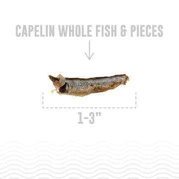 Icelandic+ Plus Capelin Whole Fish & Pieces Dog Treat 2.5-oz Bag