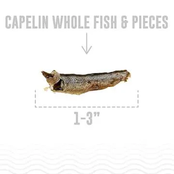 Icelandic+ Plus Capelin Whole Fish & Pieces Dog Treat 2.5-oz Bag