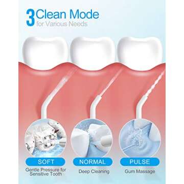 Nicefeel Cordless Water Flosser 300ML USB Rechargeable and Portable Oral Irrigator with Tips Case for Travel, 3-Modes IPX7 Waterproof Water Dental Flossing with 4 Jet Tips for Home