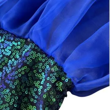 Cozep Mermaid Tail Costume Sequin Maxi Skirt Halloween Cosplay Party Dress (L, Blue)