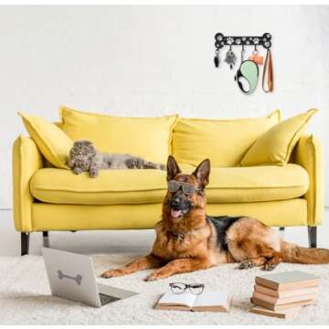 Dog Leash Holder Wall - Decorative Organizer for Dog Lovers