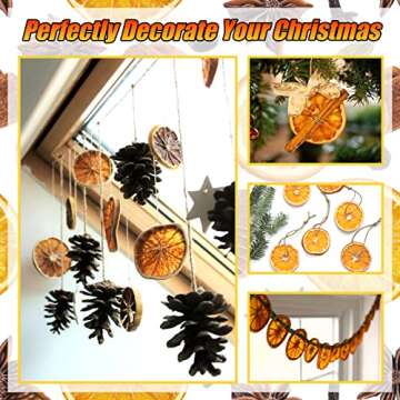 30 Dried Orange Slices for Christmas Wreath & Crafts