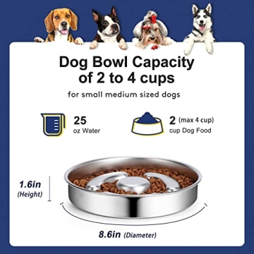 Stainless Steel Slow Feeder Dog Bowl for Fast Eaters by AIPERRO