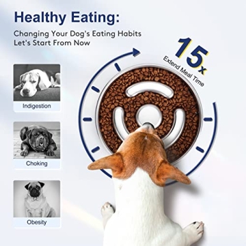 Stainless Steel Slow Feeder Dog Bowl for Fast Eaters by AIPERRO
