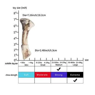 Durable Nylon Dog Chew Toy for Aggressive Chewers