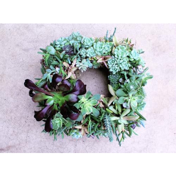 SuperMoss 13" Sphagnum Moss Living Wreath for Unique Decoration