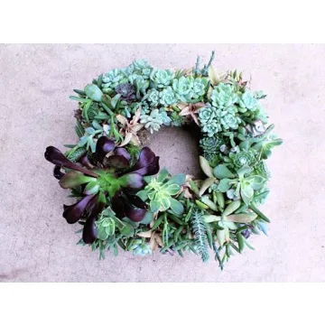 SuperMoss 13" Sphagnum Moss Living Wreath for Unique Decoration