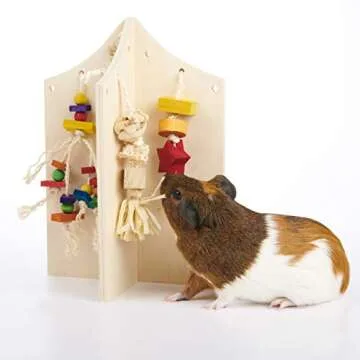 Oxbow Enriched Life Play Center for Small Pets