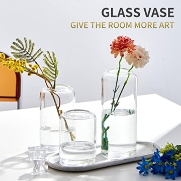 FORYILLUMI Hand Blown Glass Bud Vases Set for Home Decor