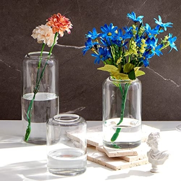 FORYILLUMI Hand Blown Glass Bud Vases Set for Home Decor