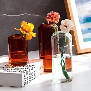 FORYILLUMI Hand Blown Glass Bud Vases Set for Home Decor