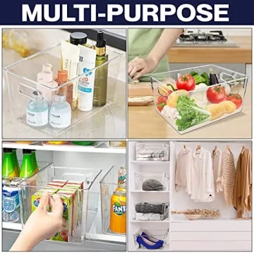 Sturdy Clear Plastic Storage Bins 10 x 6 x 5 for Home Organization