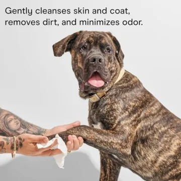 Wild One Dog Grooming Wipes - Cruelty-Free & Eucalyptus Scented