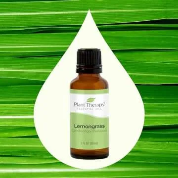 Plant Therapy Lemongrass Essential Oil 100% Pure, Undiluted, Natural Aromatherapy for Diffuser and Skin, Therapeutic Grade 30 mL (1 oz)