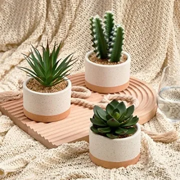 ASTRIDIA Artificial Potted Succulents - Realistic Decor