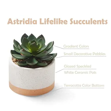 ASTRIDIA Artificial Potted Succulents - Realistic Decor