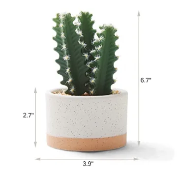 ASTRIDIA Artificial Potted Succulents - Realistic Decor