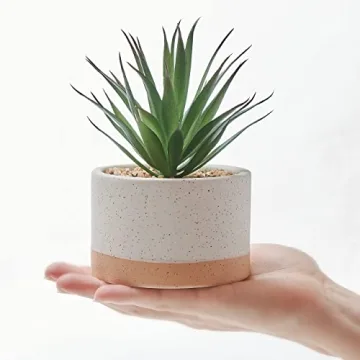 ASTRIDIA Artificial Potted Succulents - Realistic Decor