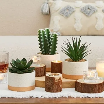 ASTRIDIA Artificial Potted Succulents - Realistic Decor