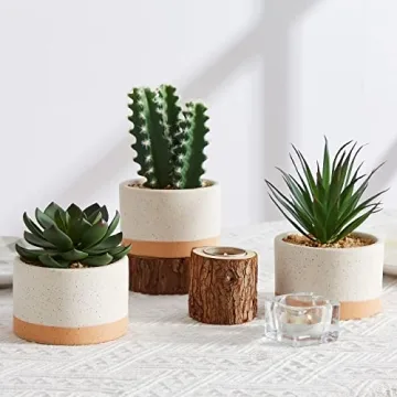 ASTRIDIA Artificial Potted Succulents - Realistic Decor