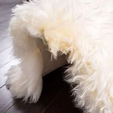 Luxurious SAFAVIEH Sheepskin Rug 3'7" x 6' for Home Comfort