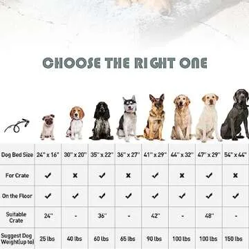 MIHIKK Large Dog Bed - Orthopedic & Waterproof Comfort