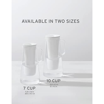 LifeStraw Home 10-Cup BPA Free Water Filter