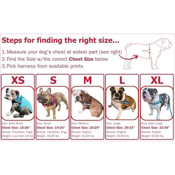 BULLHUG No Pull, No Choke Dog Harness - Safety & Comfort