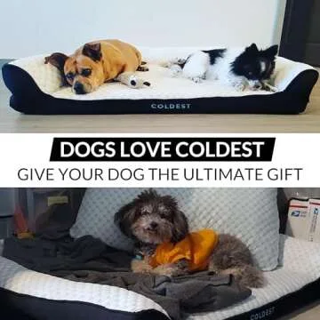 Coldest Cozy Dog Bed - Cooling Small, Medium Large Dogs Beds - Best for Washable Removable Cover Comfy and Anti Slip (Small, Grey)
