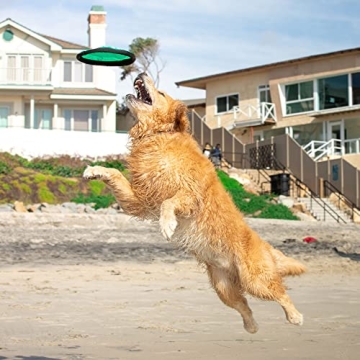 Hyper Pet Flippy Flopper Dog Frisbee for Safe Fetch Fun
