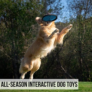 Hyper Pet Flippy Flopper Dog Frisbee for Safe Fetch Fun