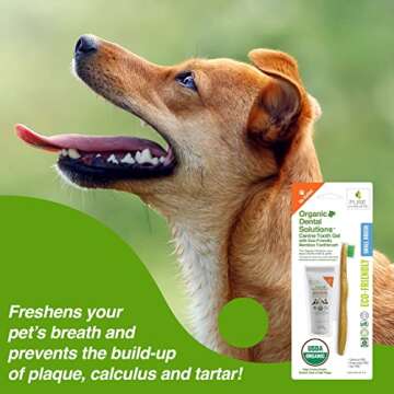 Pure and Natural Pet Organic Dental Solutions USDA Certified Organic Small Kit (.8 oz Canine Tooth Gel with Eco-Friendly Bamboo Toothbrush).