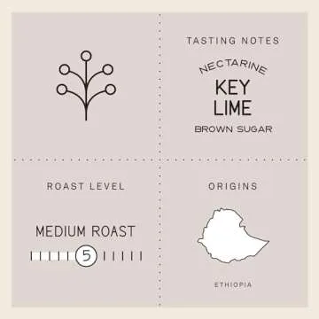 Verve Aster Blend Coffee | Medium Roast Ethiopian Excellence