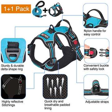 tobeDRI No Pull Dog Harness Adjustable Reflective Oxford Easy Control Medium Large Dog Harness with A Free Heavy Duty 5ft Dog Leash (M (Neck: 14.5"-20.5", Chest: 22"-28"), Blue Harness+Leash)