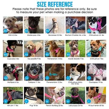 Lukovee Dog Harness and Leash Set, Soft Padded Small Dog Harness, Neck & Chest Adjustable Reflective Vest Puppy Harness with 4ft Lightweight Anti-Twist Dog Leash for Small Dogs (XX-Small, Pink)